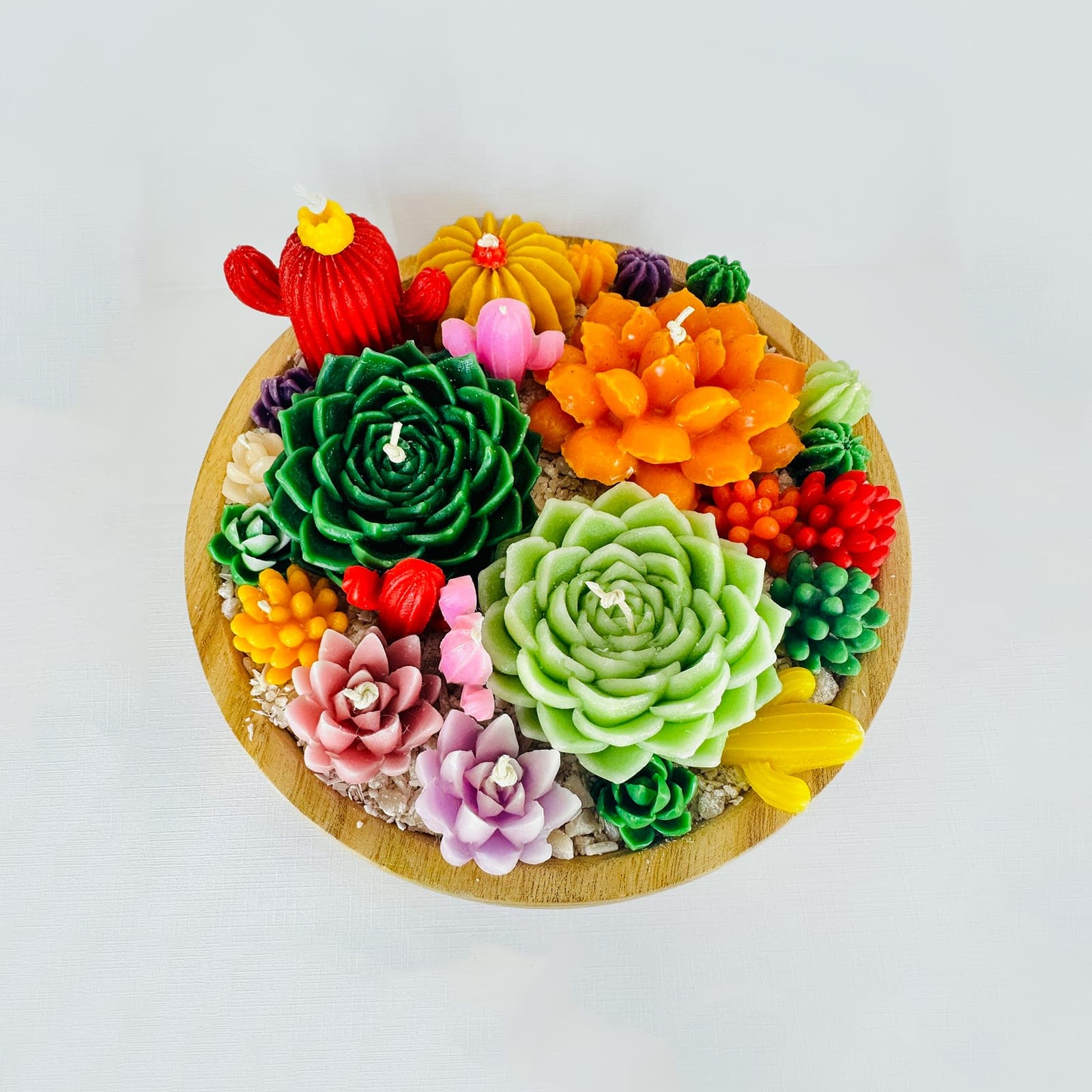 Gifting — Wax Succulent Tray
